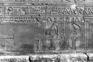 Photo »202« of the Edfu-Project.