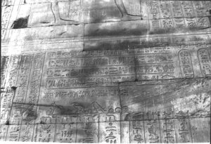 Photo »335« aus dem Edfu-Projekt.