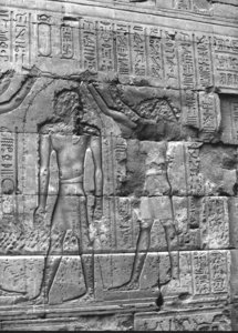Photo »3607« aus dem Edfu-Projekt.