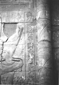 Photo »4150« aus dem Edfu-Projekt.