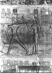 Photo »428« aus dem Edfu-Projekt.