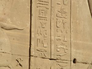 Photo »D05_3698« of the Edfu-Project.