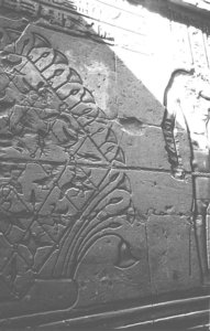 Photo »1284« aus dem Edfu-Projekt.