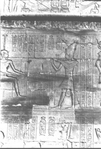 Photo »442« aus dem Edfu-Projekt.