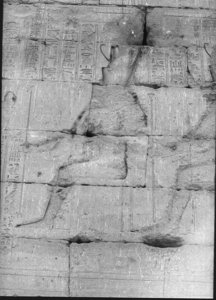 Photo »893« aus dem Edfu-Projekt.