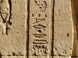 Photo »D05_0557« aus dem Edfu-Projekt.