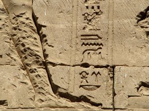 Photo »D05_1435« aus dem Edfu-Projekt.