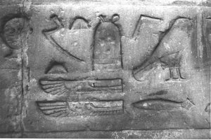 Photo »3873« aus dem Edfu-Projekt.