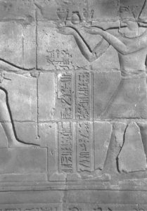 Photo »4329« of the Edfu-Project.