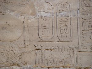 Photo »D05_6405« of the Edfu-Project.