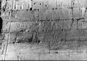 Photo »2535« of the Edfu-Project.