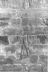 Photo »4186« aus dem Edfu-Projekt.