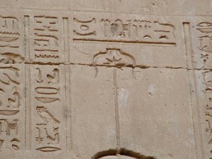 Photo »D05_3414« aus dem Edfu-Projekt.