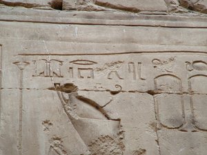 Photo »D05_3451« aus dem Edfu-Projekt.