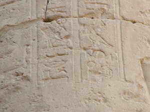 Photo »D05_5106« of the Edfu-Project.