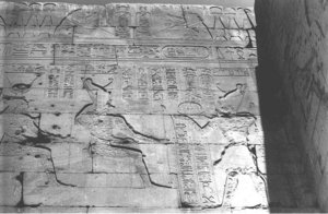 Photo »1141« aus dem Edfu-Projekt.