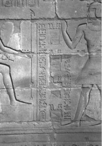 Photo »4326« aus dem Edfu-Projekt.