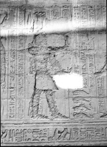 Photo »2208« aus dem Edfu-Projekt.