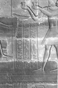 Photo »4209« aus dem Edfu-Projekt.