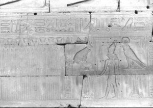 Photo »632« aus dem Edfu-Projekt.