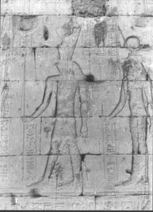 Photo »772« of the Edfu-Project.