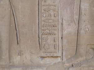 Photo »D05_6541« of the Edfu-Project.