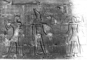 Photo »264« aus dem Edfu-Projekt.