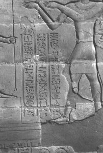 Photo »4111« aus dem Edfu-Projekt.