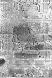 Photo »4212« aus dem Edfu-Projekt.