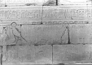 Photo »666« of the Edfu-Project.