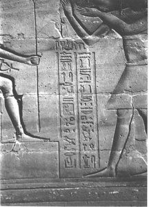 Photo »3988« aus dem Edfu-Projekt.