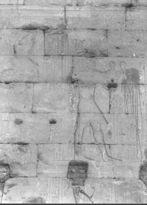 Photo »846« aus dem Edfu-Projekt.