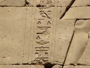 Photo »D05_1337« aus dem Edfu-Projekt.