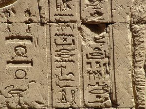 Photo »D05_2309« aus dem Edfu-Projekt.