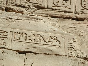 Photo »D03_0556« aus dem Edfu-Projekt.