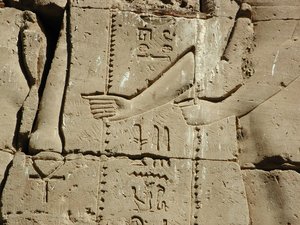 Photo »D03_0558« aus dem Edfu-Projekt.