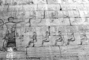 Photo »1529« aus dem Edfu-Projekt.