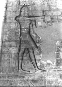 Photo »2896« aus dem Edfu-Projekt.