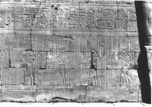 Photo »94« of the Edfu-Project.