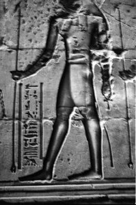 Photo »1296« aus dem Edfu-Projekt.