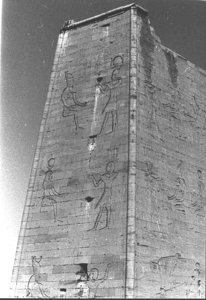 Photo »141« of the Edfu-Project.