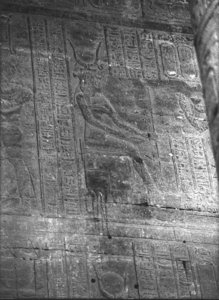 Photo »3107« of the Edfu-Project.