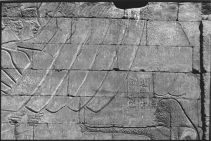 Photo »64« of the Edfu-Project.