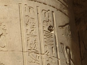 Photo »D05_6806« of the Edfu-Project.