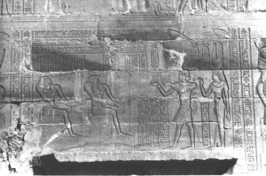Photo »185« aus dem Edfu-Projekt.