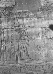 Photo »2218« aus dem Edfu-Projekt.
