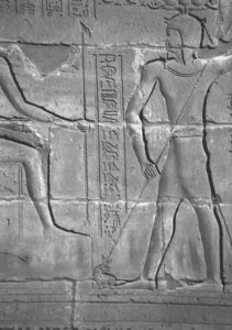 Photo »4305« aus dem Edfu-Projekt.