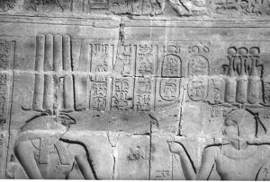 Photo »4437« aus dem Edfu-Projekt.