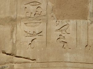 Photo »D05_5926« of the Edfu-Project.