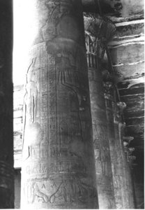 Photo »1626« of the Edfu-Project.